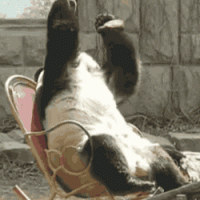 1561662091552.gif