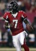 michael-vick-photo3.jpg