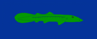 5EDABB48-7CF1-4218-98EA-4AE3651818CD.gif