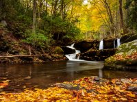 Smoky-Mountais-fall-colors.jpg