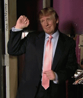 giphy (16).gif