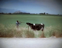 1566097199379.gif