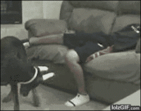 1566522699909.gif