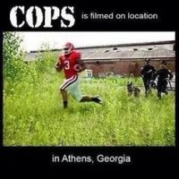 868f168e67033d5138a632054b943849--georgia-funny-stuff.jpg