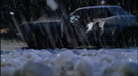 1567122932439.gif