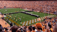 7305D404-00AF-4522-8783-2300989822E6.gif