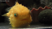 1563861088896.gif