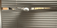 1567460658768.gif
