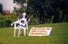 fanwaitingAUchamp-1.jpg