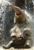 happy-elephant-01-205x300.jpg