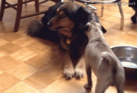 96efb9cd-7880-42aa-a1ed-c8c2f358772b.gif