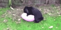 4BD8328E-DBE2-49F6-B010-D24B79D6BC30.gif