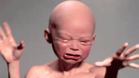 CBB72547-711C-44F0-84E6-721FF1850E09.gif