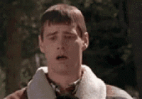 ms-ckCZSj.gif