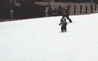 giphy (27).gif