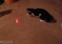 1568428802505.gif