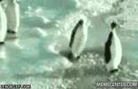 1568489517312.gif