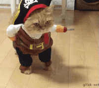 1568937097663.gif