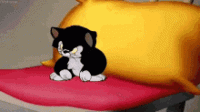 1569095797269.gif