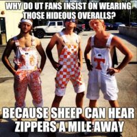 Tennessee-Zippers-MEME.jpg