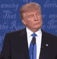 1569459692258.gif