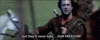 1569527680968.gif