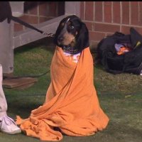 Smokey keeping warm.jpg