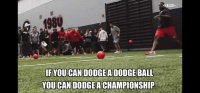 FB_IMG_1566887043107.jpg