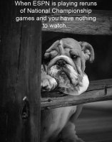 FB_IMG_1566886735288.jpg