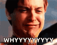 43BE8A2E-E04E-461D-915D-E9AC3369EE6A.gif