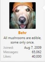 behr40000boon.JPG