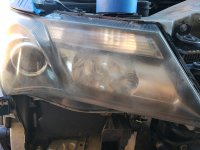 20191005_094933.jpg