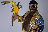 Koko-B.-Ware-WWE.jpg