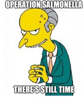op slamonella.JPG