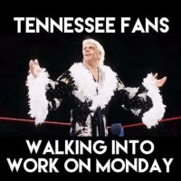 UT fans Rick flair.jpg