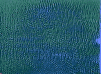 giphy (1).gif