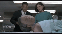 AL106i.gif