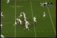 WebbedFewBellfrog-size_restricted.gif