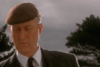 giphy (3).gif