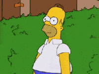 source (1).gif