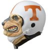 ut mask.jpg