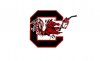 south-carolina-gamecocks-logo2.jpg