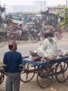 India 024.jpg