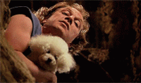 1571835541568.gif