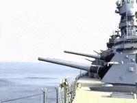 FlashyGreenFirecrest-size_restricted.gif
