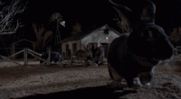 706aa16a49804948d2930d8f722b0eee.gif