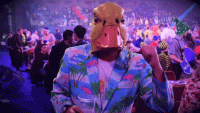 giphy (24).gif