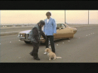 1572713261574.gif