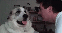 1572718901129.gif