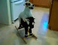 91AA6220-4F68-4062-92CD-38261B5E2F19.gif